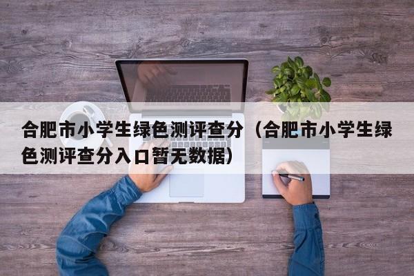 合肥市小学生绿色测评查分（合肥市小学生绿色测评查分入口暂无数据）