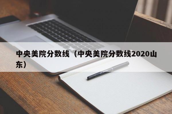 中央美院分数线（中央美院分数线2020山东）