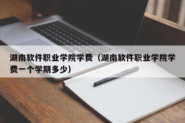 湖南软件职业学院学费（湖南软件职业学院学费一个学期多少）