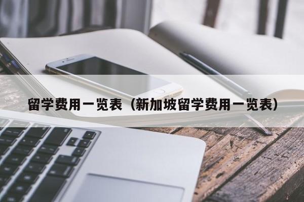 留学费用一览表（新加坡留学费用一览表）