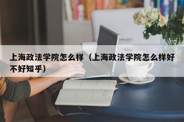 上海政法学院怎么样（上海政法学院怎么样好不好知乎）