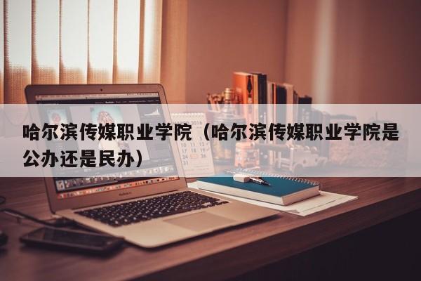 哈尔滨传媒职业学院（哈尔滨传媒职业学院是公办还是民办）