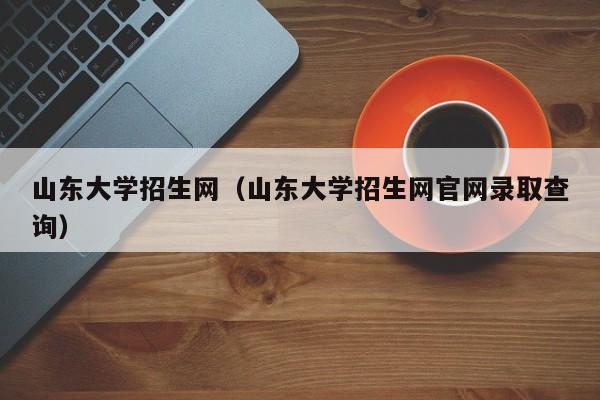 山东大学招生网（山东大学招生网官网录取查询）