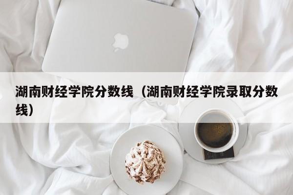 湖南财经学院分数线（湖南财经学院录取分数线）