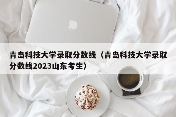 青岛科技大学录取分数线（青岛科技大学录取分数线2023山东考生）