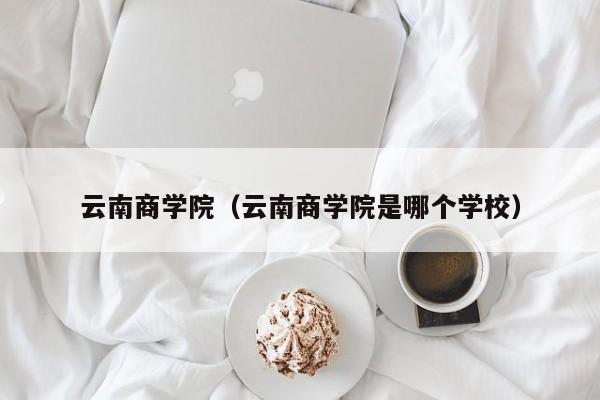 云南商学院（云南商学院是哪个学校）